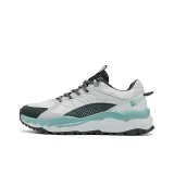 Серо-серебристый, грозовой серый