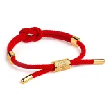 Китайский зодиак Змея (Красный)