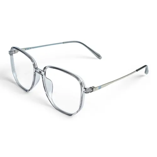 Welly Merck TR Memorial Plastic Irregular Shape Оправа для очков Унисекс