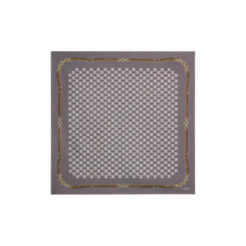 CELINE Шарфы из шелка Тутовый женские серые