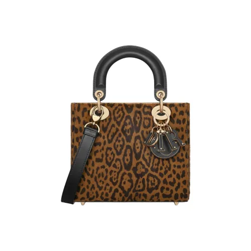 DIOR Lady Dior Телячья кожа Сумка через плечо Сумка Маленькая Женская Коричневая