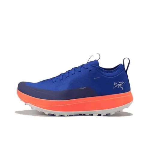 Arcteryx SYLAN Slip-resistant Abrasion-resistant Low-top Trail Running Shoes Men's Blue Арктерикс SYLAN Противоскользящие Износостойкие Низкие Кроссовки для Беговых Пути Мужские Синие
