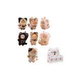 Целая коробка 6 шт (Пластиковая упаковка снята для аутентификации)