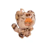 Подтвержденная версия Позиционирование стиля - Прохладный Cheetah Adu