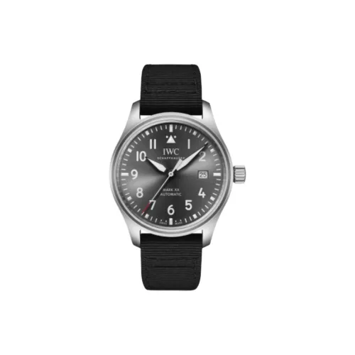 IWC Pilot Collection Автоматический Механический Механизм Унисекс Часы 40 мм Серый Циферблат Титан Корпус Ткань Ремешок