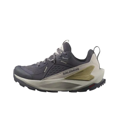 SALOMON Elixir Устойчивая к истиранию Низкая Обувь для походов Женская Темно-серая