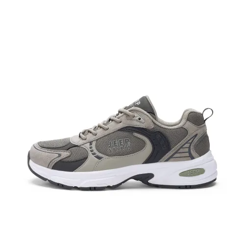 JEEP SPIRIT Низкий топ Беговые кроссовки Мужской Луна Пыль Серый