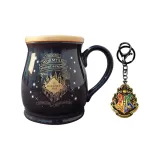 Интерактивная версия карты, меняющая цвет, размер бюстгальтера + украшение Хогвартса