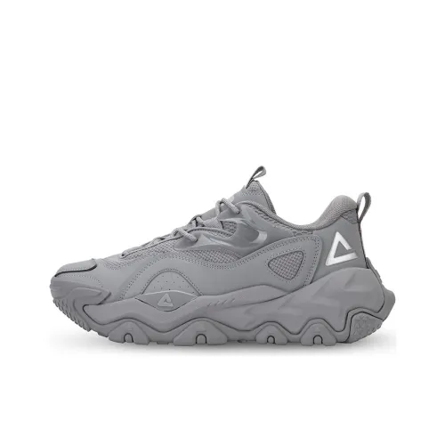 PEAK Tai Ji2,0 ER ПУ (полиуретан) Амортизаторы Slip-resistant (против скольжения) Abrasion-resistant (устойчивый к истиранию) Низкий топ Повседневная обувь Мужская Серебристо-серый