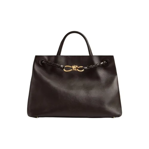 Bottega Veneta Andiamo series Клатчи Женские