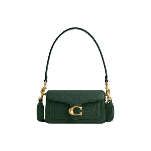 COACH Tabby Полированная кожа портативная сумка через плечо маленькая сумка женская цвет охотничий зеленый