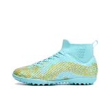 Лунные шипы