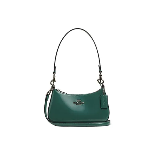 Coach Teri Коровья кожа Сумка через плечо Маленькая сумка на плечо Женская изумрудно-зеленый