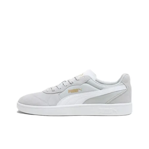 PUMA Astro Low Топ Скейтборд Кроссовки Мужские Серые