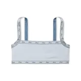 Гортензия Синяя / Гортензия Вересково-синяя