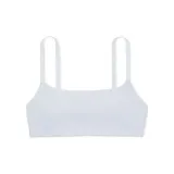 Гортензия Синяя / Гортензия Вересково-синяя