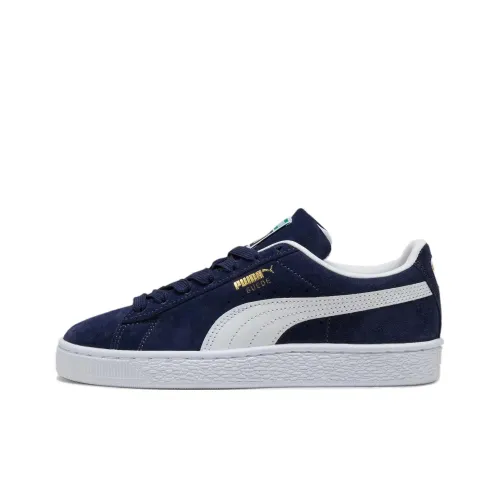 PUMA Детские Скейтбординги Низкий Топ Циан/Белый Школьный
