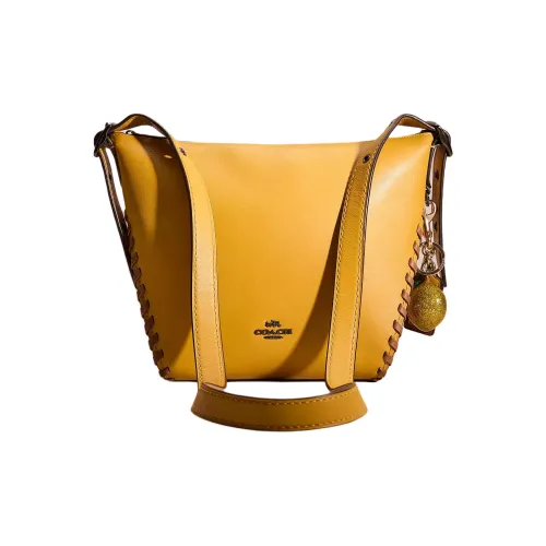 COACH Dufflette Гладкая кожа Сумка через плечо Маленькая женская сумка из льна