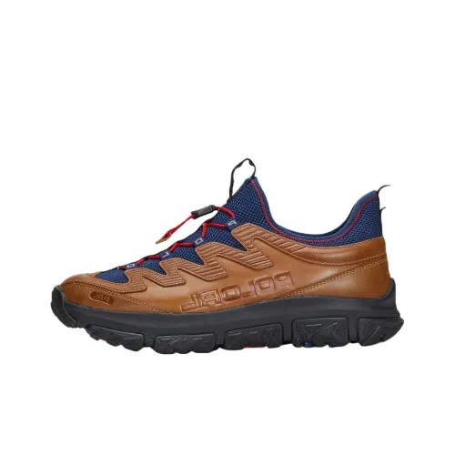 Polo Ralph Lauren Adventure 300LT Повседневный Низкий Топ Коричневый Мужской