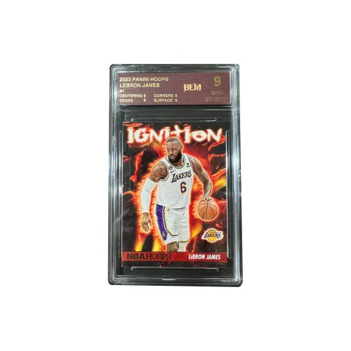 PANINI Lakers LeBron James The King Flame Teca Basketball Card Rare Card Certified Cards 1 Pack