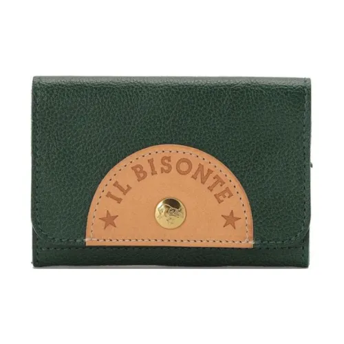 Il Bisonte Коровья кожа Держатель для карт Женский Зеленый