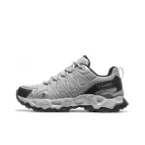 Серебристый / Черный