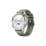 Ель Зеленая