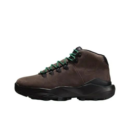 Nike Cygnal Уличная обувь MID Топ Коричневый Унисекс