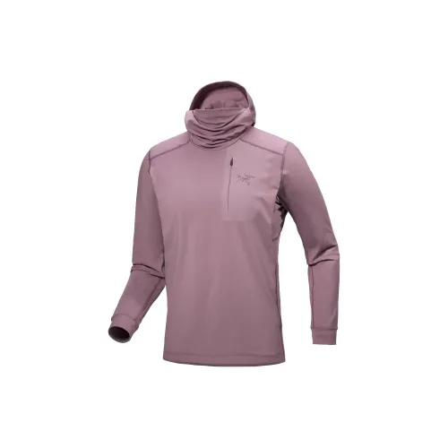 Arcteryx RHO LT Толстовка Мужская