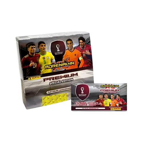 PANINI Pedri 2022 Qatar World Cup Official Игрок Карта Спортивные карты Серебряный Картхолдер