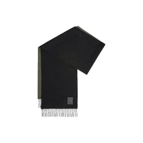 LOEWE Совместное издание Шерстяные шарфы Женские Зеленые