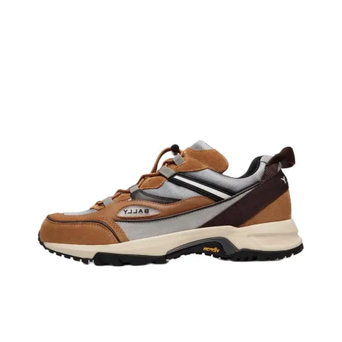 BALLY Повседневный Низкий Топ Коричневый Мужской