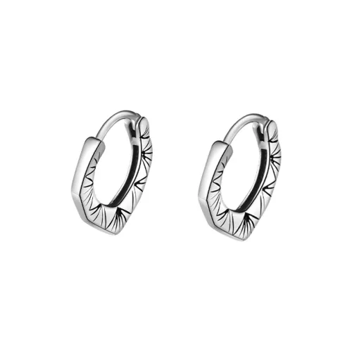 FOREVER MELODY Серьги из титанового стального сплава Мужские