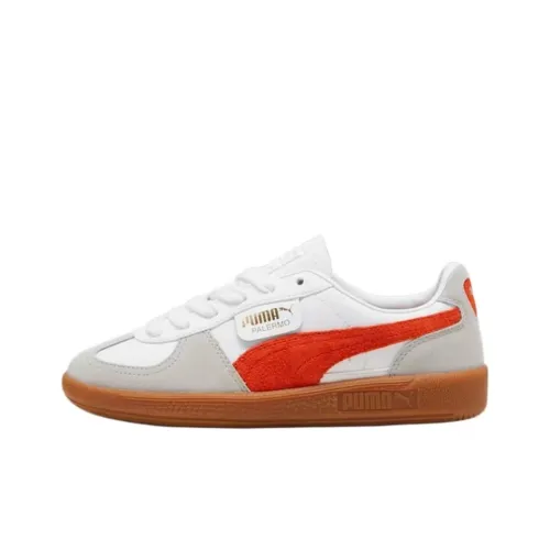 PUMA Palermo Series Low Топ Детские Скейтбординги Серый Белый Подростки