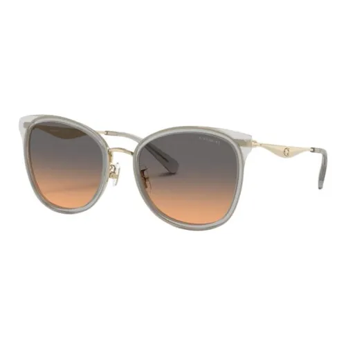 COACH В зависимости от официального сайта OVAL SUNGLASSES Женские Серый