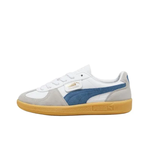PUMA Palermo Series Low Топ Детские Скейтбординги Белый Серый Синий Подростки