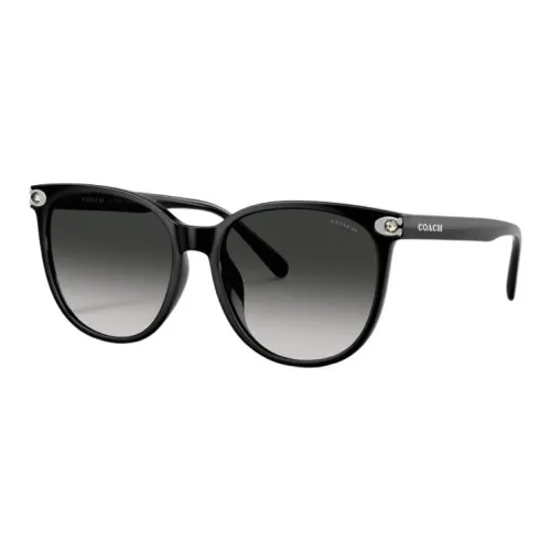 COACH Круглые Солнцезащитные очки Женские Черные