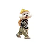 Рюкзак, подвеска, хождение, зеленый, брюки, тедди