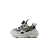 Титан Серебряный/Оливково-зеленый