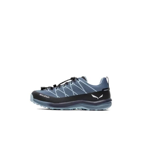 SALEWA WILDFIRE 2 POWERTEX Водонепроницаемая и Дышащая Низкая Обувь для Активного Отдыха для Детей Синий Черный Детская