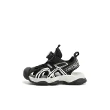 Чёрно-белый