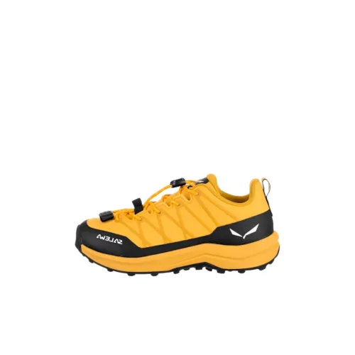 SALEWA WILDFIRE 2 Износостойкий и Легкий Низкий Топ Детская Туристическая Обувь Золото-Черный Детский