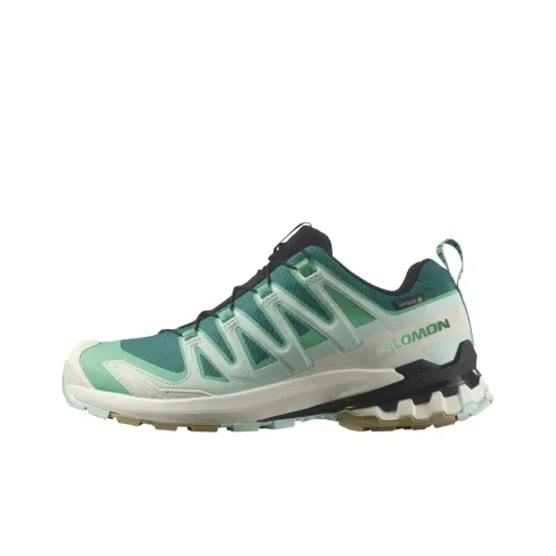 SALOMON XA Pro 3D V9 Амортизация Противоскользящий Водонепроницаемый Низкий Топ Беговые кроссовки Женские Зеленый