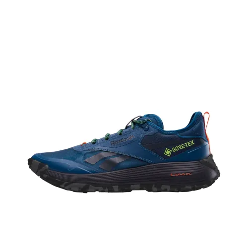 Reebok DMX Trail GTX Casual Low Top Синий Унисекс