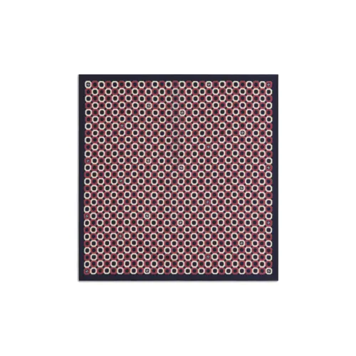 CELINE Шарфы из шелка Тутовый женские коричневый