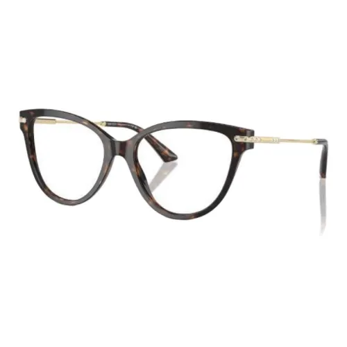 Jimmy Choo Пластик Кошачий глаз Оправы для очков Женские Гаванский