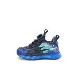 Синий Кляйна