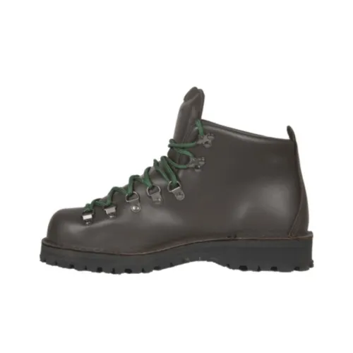 Danner Mountain Light Outdoor Brown Men's