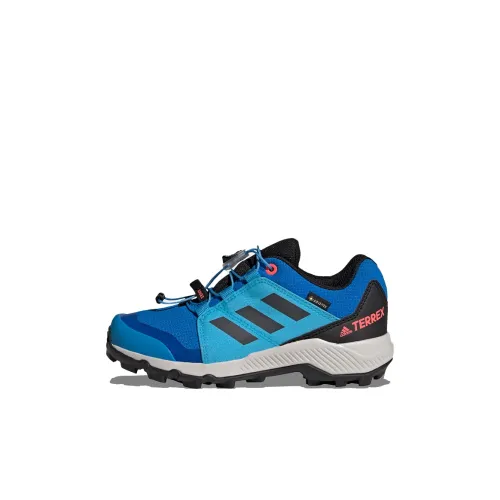 adidas Terrex GT Устойчивый к истиранию Низкий Топ Детская Туристическая Обувь Синий Детский