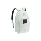 Ледяно-серый